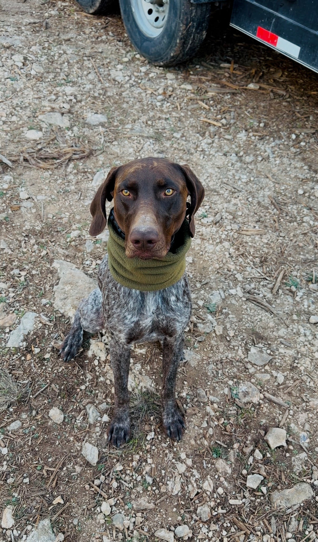 Fleece Neck Gaiter and Ear warmer.