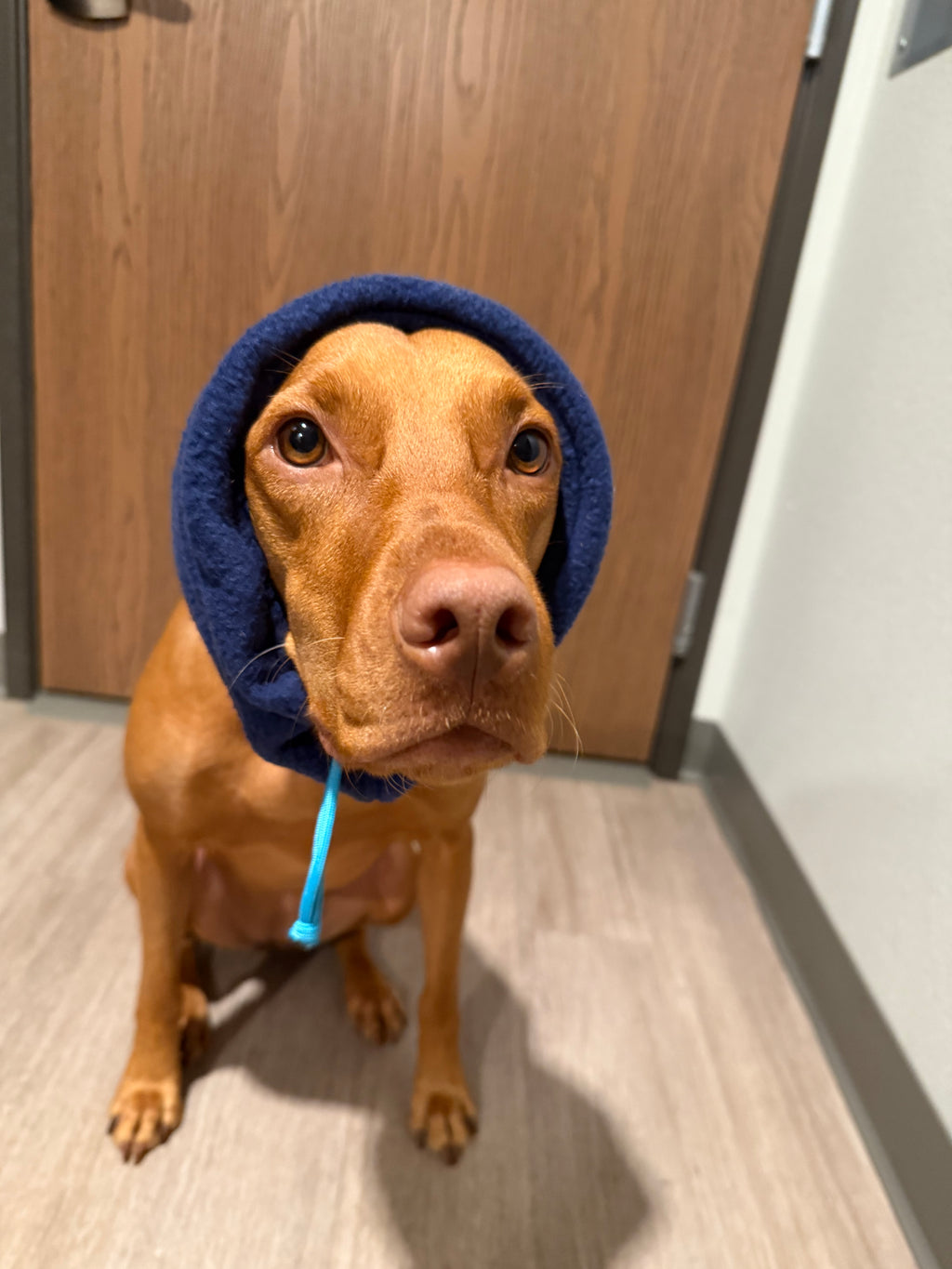 Blue Fleece Neck/Ear Warmer