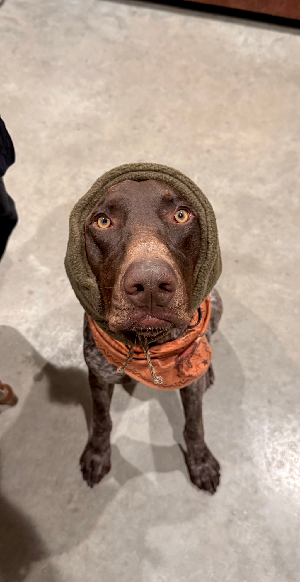 Fleece Neck Gaiter and Ear warmer.