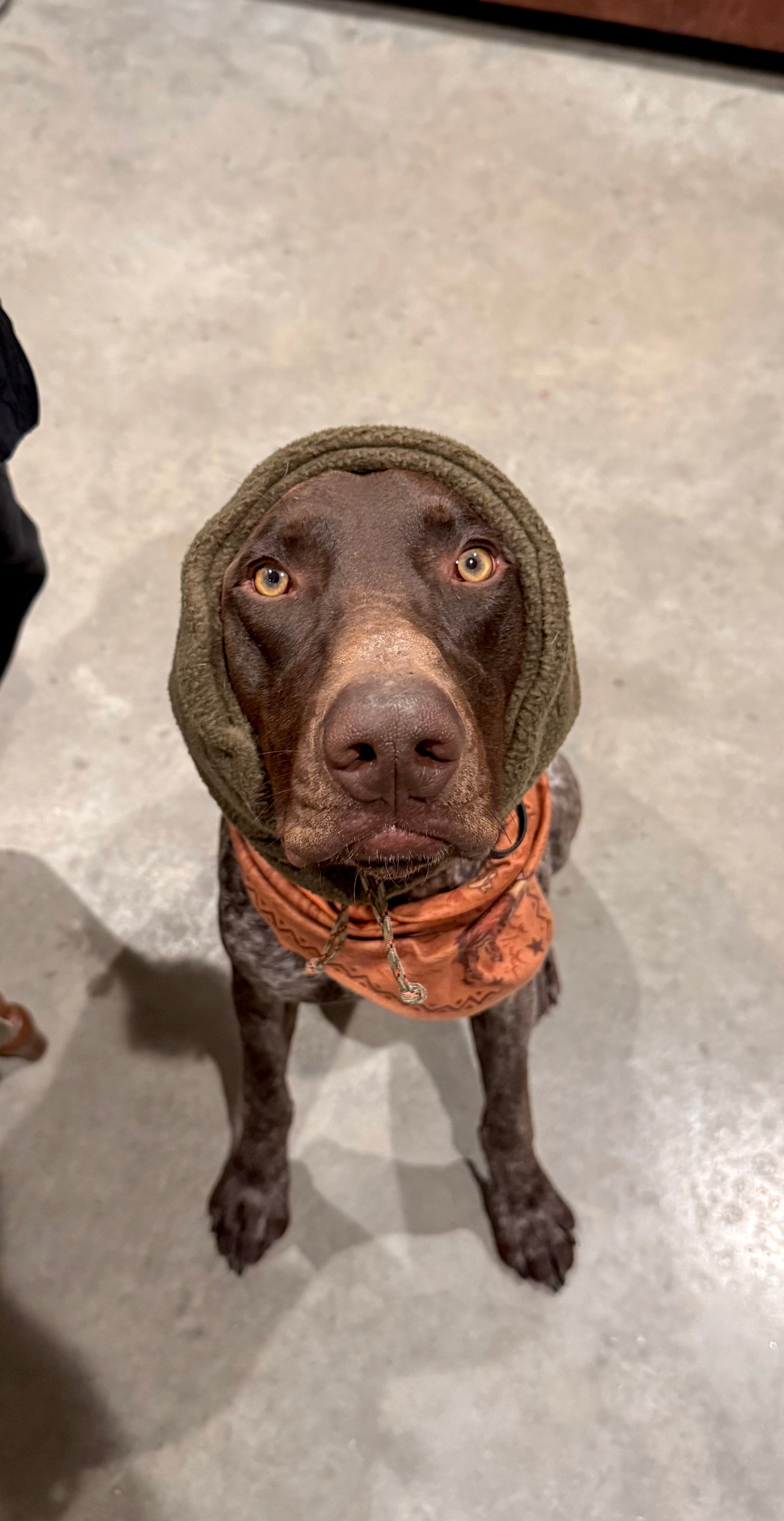 Fleece Neck Gaiter and Ear warmer.