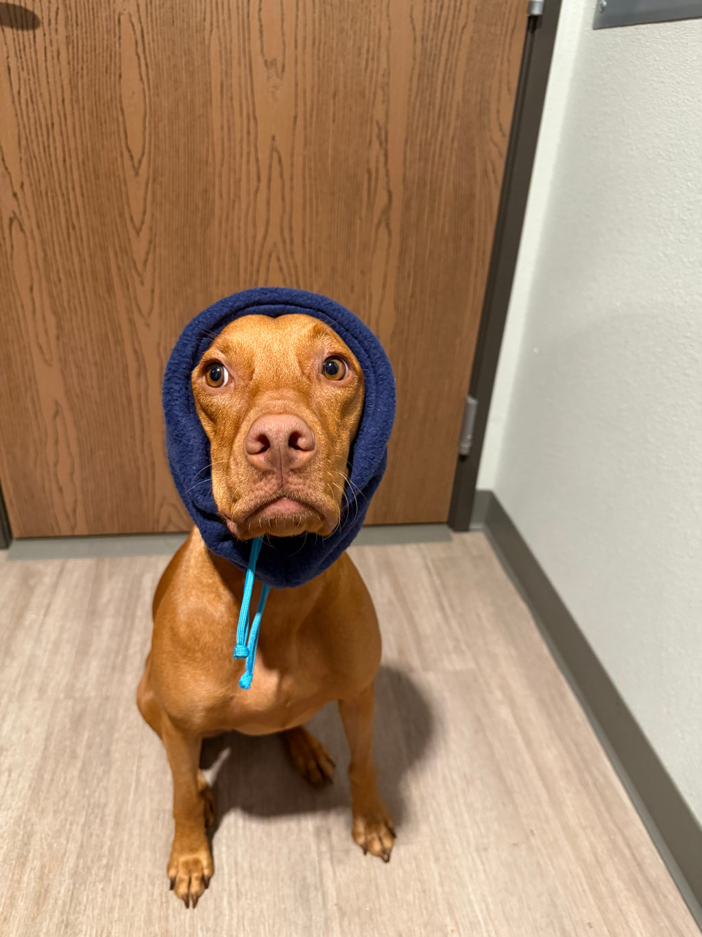 Blue Fleece Neck/Ear Warmer
