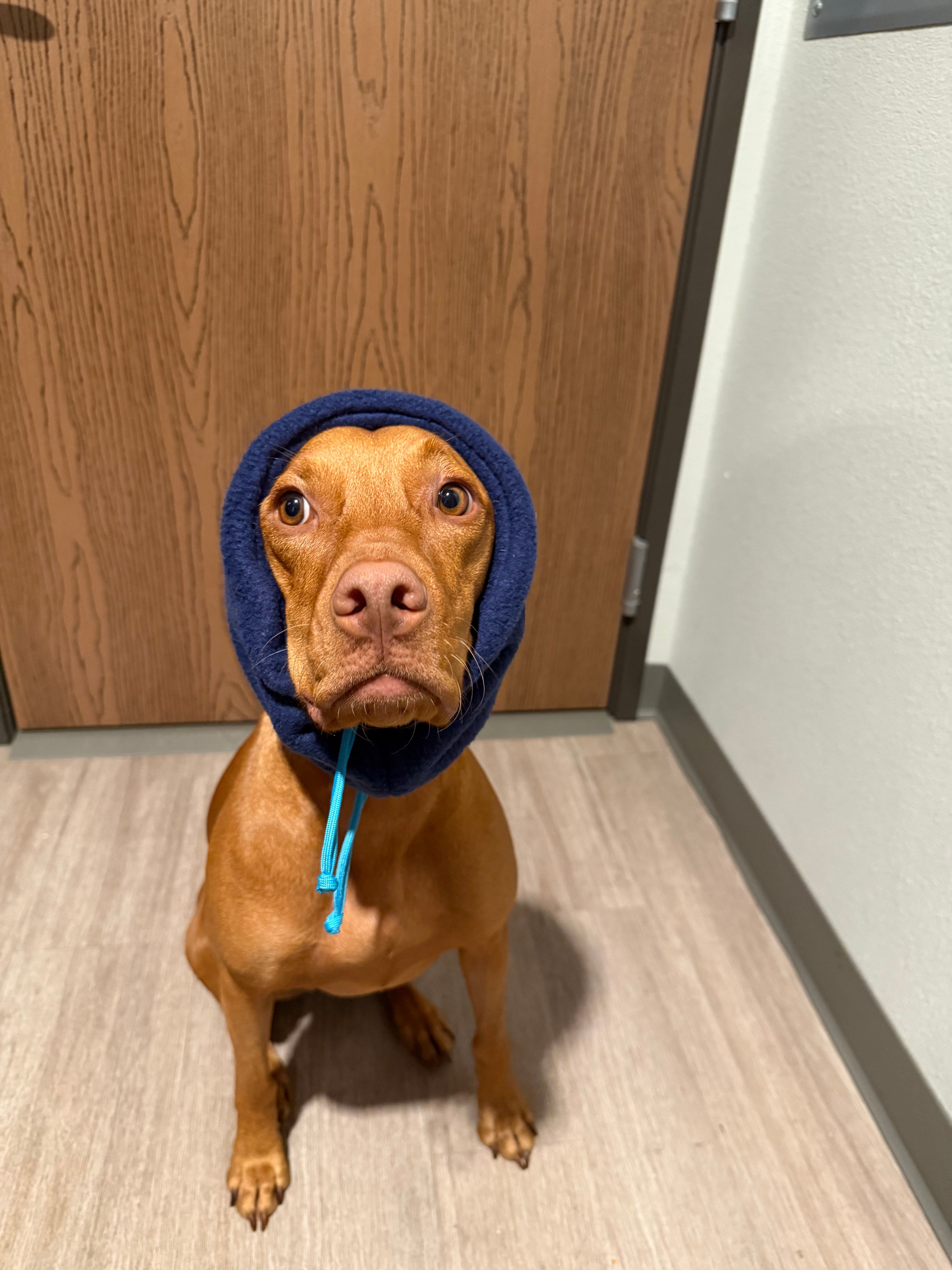 Blue Fleece Neck/Ear Warmer