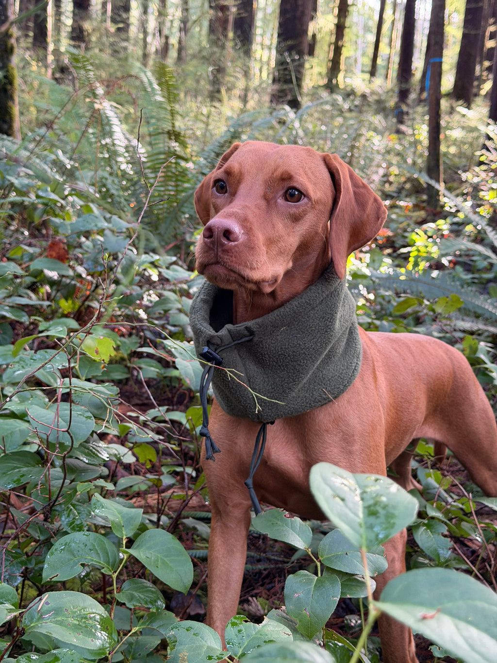 Fleece Neck Gaiter and Ear warmer.